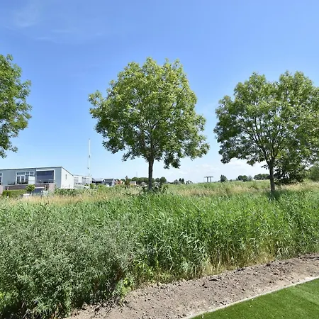 Holiday home Robinie Oude-Tonge
